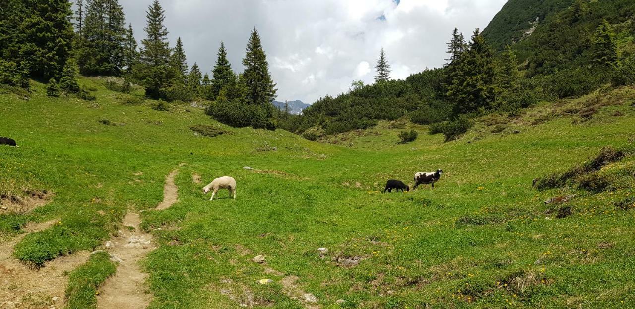 Residenz Tirol Apartment Lechleiten Bagian luar foto